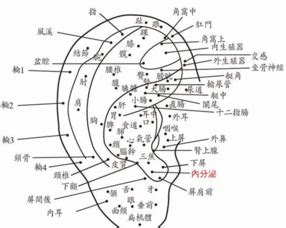 男生左耳有痣|面相：耳朵有痣算命圖解，全位置對照，看看你是哪一。